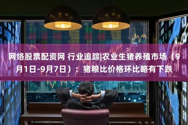 网络股票配资网 行业追踪|农业生猪养殖市场（9月1日-9月7日）：猪粮比价格环比略有下跌