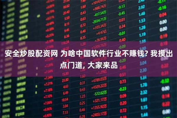 安全炒股配资网 为啥中国软件行业不赚钱? 我摸出点门道, 大家来品
