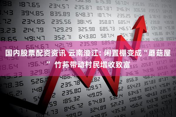 国内股票配资资讯 云南澄江: 闲置棚变成“蘑菇屋” 竹荪带动村民增收致富