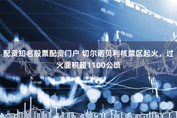 配资知名股票配资门户 切尔诺贝利核禁区起火，过火面积超1100公顷
